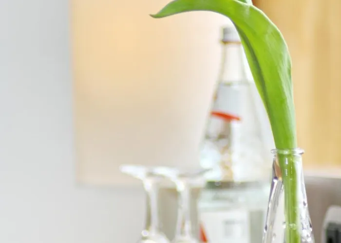 克劳斯特花园酒店